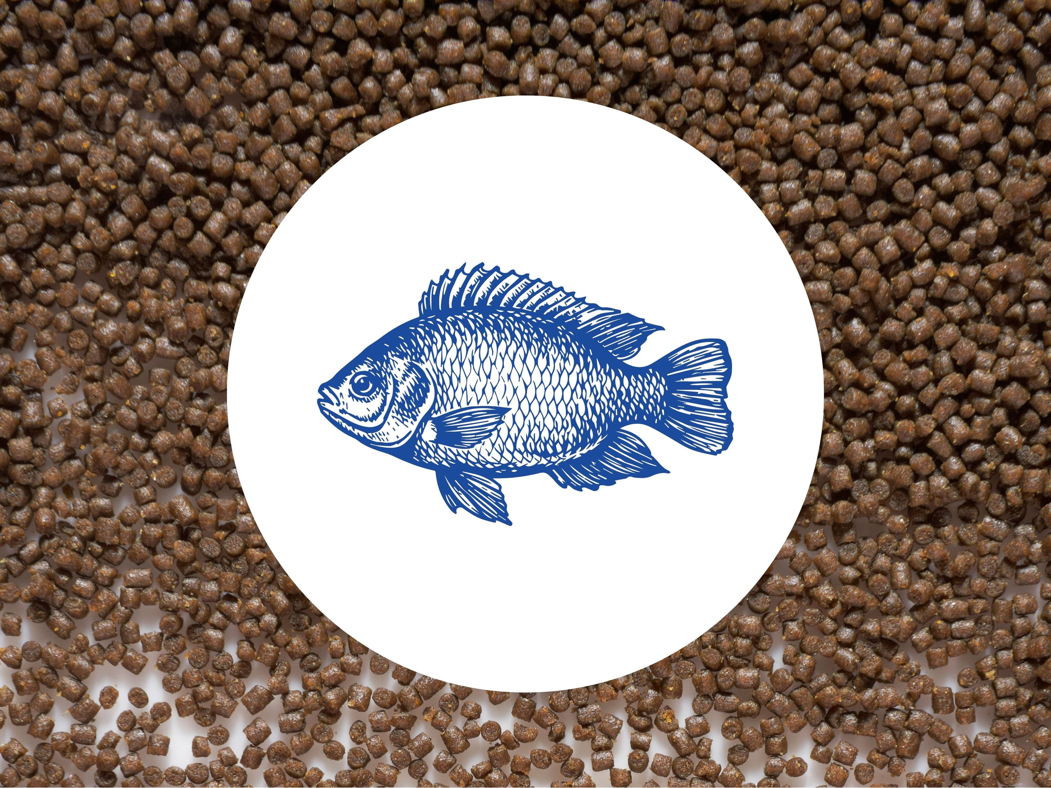 Segmento Peixes